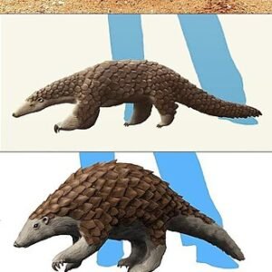 Pholidota orchidee met witte bloemen en groene bladeren in pot.