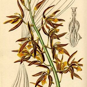 Moderne, stijlvolle witte tafellamp met slank design en verfijnde uitstraling.