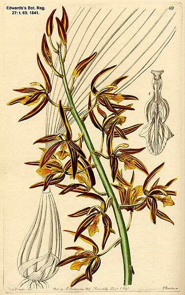 Moderne, stijlvolle witte tafellamp met slank design en verfijnde uitstraling.