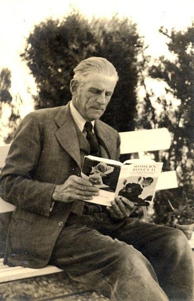 Stijlvolle roze Pedro Dot oorbellen op terracotta achtergrond.