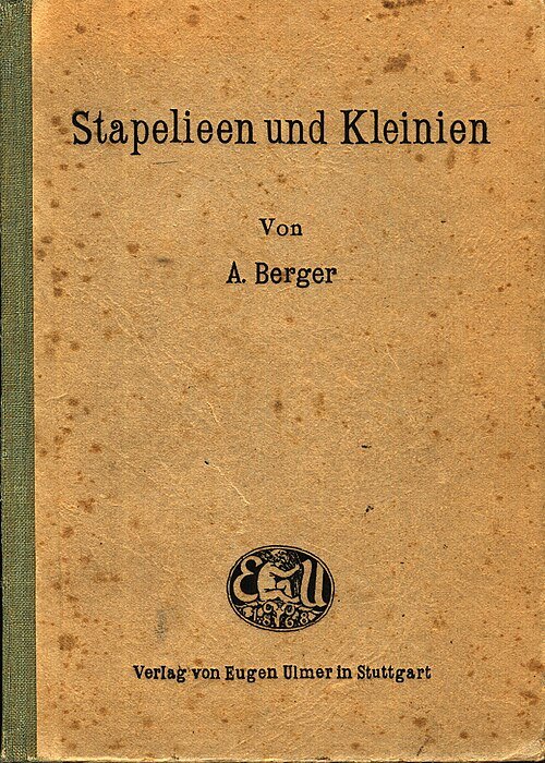 Moderne stapelbare keramische potten met stapelbloemen.