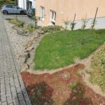 Bodembedekker op kleigrond in Tauberbischofsheim.
