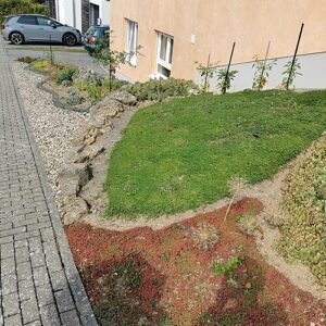 Bodembedekker op kleigrond in Tauberbischofsheim.