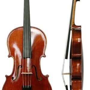 Close-up van een paarse viool in de zon.