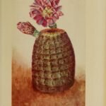 Echinocereus rigidissimus cactus met levendige roze bloemen tegen een vervaagde achtergrond.