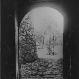 White wine cellar with wooden barrels, stone walls, and wooden doors at Baco Blanc.