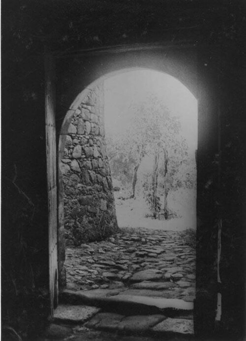 White wine cellar with wooden barrels, stone walls, and wooden doors at Baco Blanc.