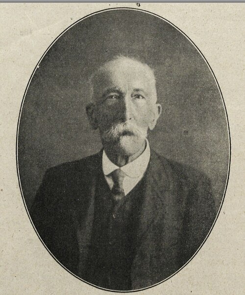 Dieprode roosvariëteit 'Francis Dubreuil' met groene bladeren op zonnige dag.