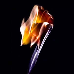 Ginkgo blad in close-up, groen en gedetailleerd.