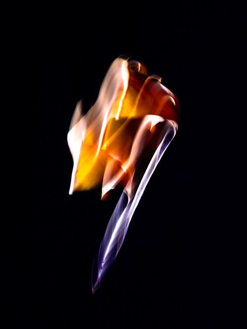 Ginkgo blad in close-up, groen en gedetailleerd.