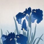 Paarse Japanse iris met delicate bloemblaadjes en groene bladeren.