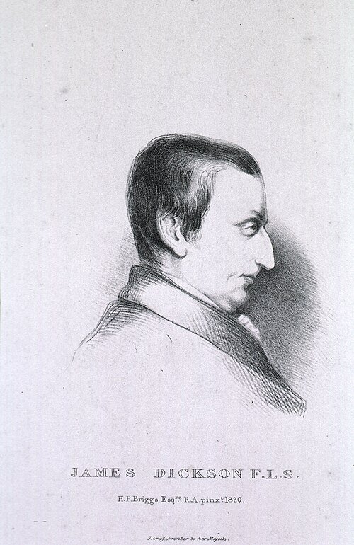 Zwarte leren herenportefeuille met reliëfpatroon en merklogo.