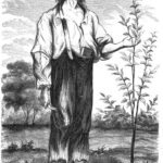 Johnny Appleseed loopt door een boomgaard met een mand vol appels.