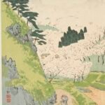 Bloeiende kersenbloesems op Mount Yoshino in lenteseizoen.