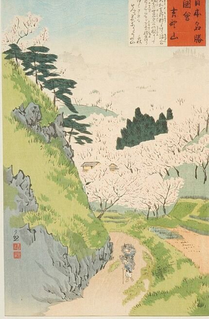 Bloeiende kersenbloesems op Mount Yoshino in lenteseizoen.