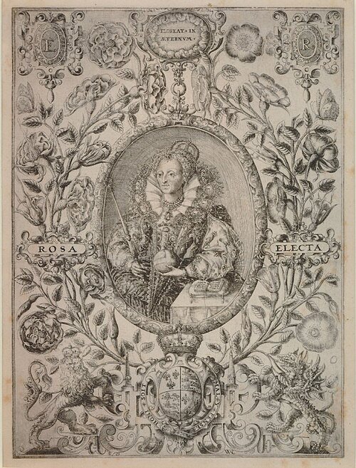 Pink Rosa 'Royal William' flowers in full bloom in a garden setting.