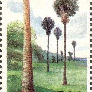 Borassus flabellifer in bloei met groene bladeren.