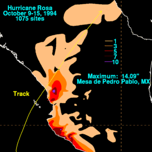 Vivid pink Rosa ‘Camp David’ flower with dark green leaves on soft green grass.