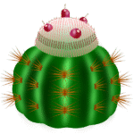 Blauwgroene Melocactus plant met rode vruchten.
