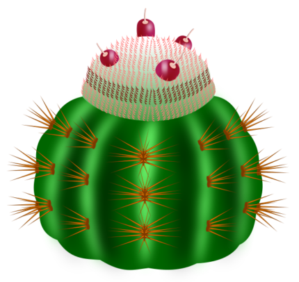 Blauwgroene Melocactus plant met rode vruchten.