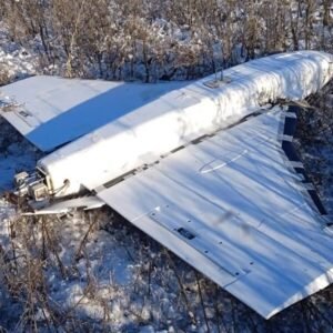 Gerbera bloem in roze kleur met groene bladeren.