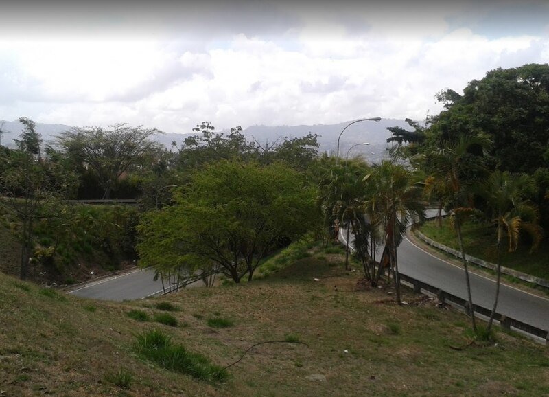 Leptocereus quadricostatus cactus in El Avila National Park, Venezuela.