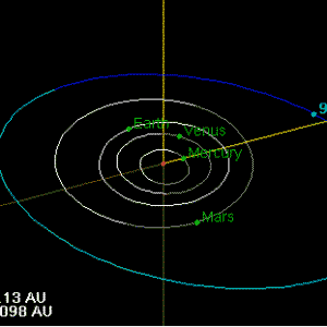 Begonia plant with lush green leaves in a shaded environment.