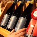 Dieprode Baco Noir wijndruiven op wijnstok in wijngaard.