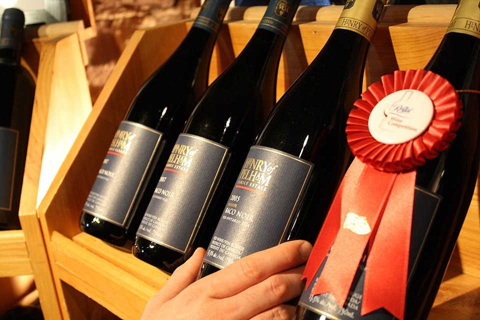 Dieprode Baco Noir wijndruiven op wijnstok in wijngaard.