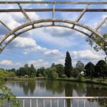 Bloeiende rozenstruiken in zonnige Rosarium Uetersen tuin.