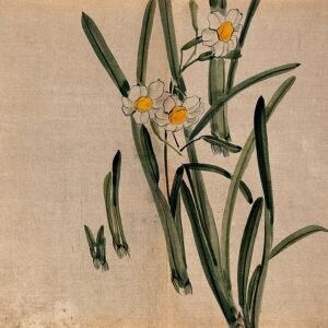 Gele narcisbloem met groen blad, botanisch beeld.