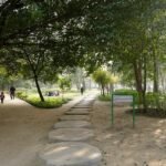 Pad omgeven door groen in de weelderige Lodhi-tuinen in Delhi.