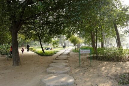 Pad omgeven door groen in de weelderige Lodhi-tuinen in Delhi.