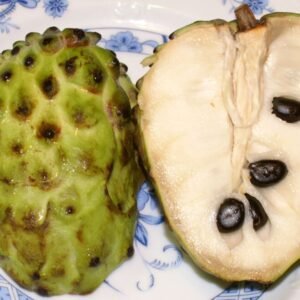 Annona atemoya fruit op houten ondergrond.