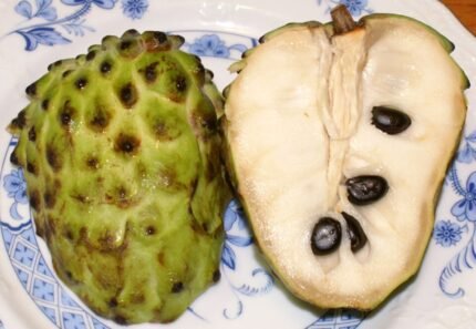 Annona atemoya fruit op houten ondergrond.