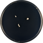 Geel Aspergillus conicus op voedingsbodem, cilindervormige conidiophoren.
