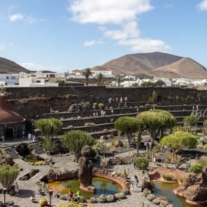 Cactusplanten in Jardín de Cactus badend in zonlicht.