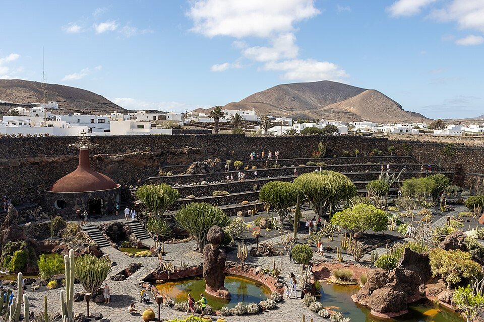 Cactusplanten in Jardín de Cactus badend in zonlicht.