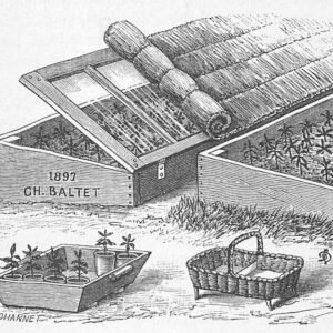 Onverwarmde kas met glazen panelen en metalen frame in tuinsetting.