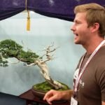 Bjorn Bjorholm Bonsai boom in aarden pot met groene bladeren.