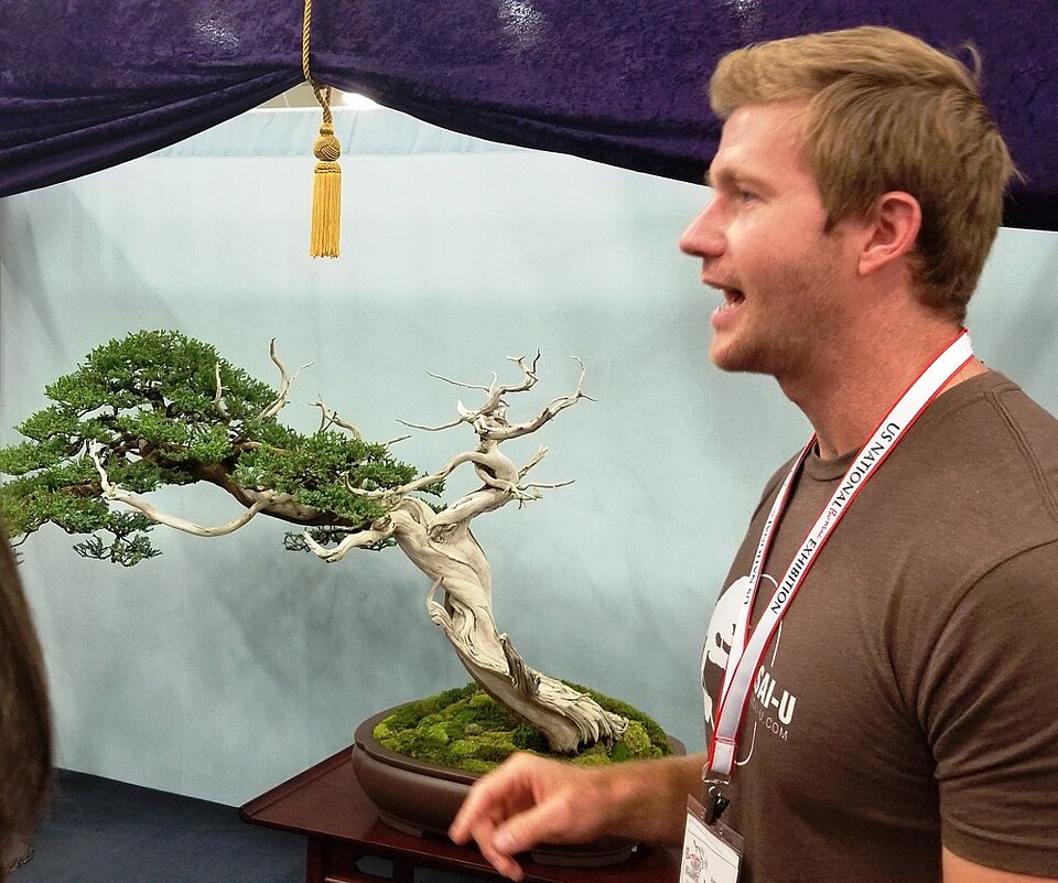 Bjorn Bjorholm Bonsai boom in aarden pot met groene bladeren.