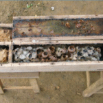 Honingbijenkast met houten structuur en gele accenten.
