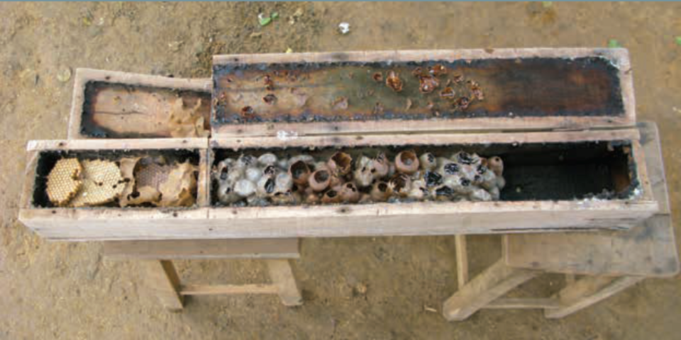 Honingbijenkast met houten structuur en gele accenten.