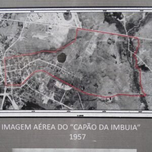 Ocotea porosa boom in Capão da Imbuia, 1957.