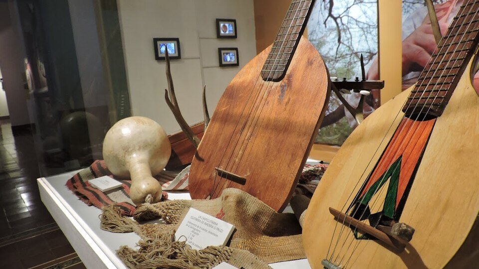 Schinopsis lorentzii gitaar op tentoonstelling in Cultureel Centrum Santiago del Estero.