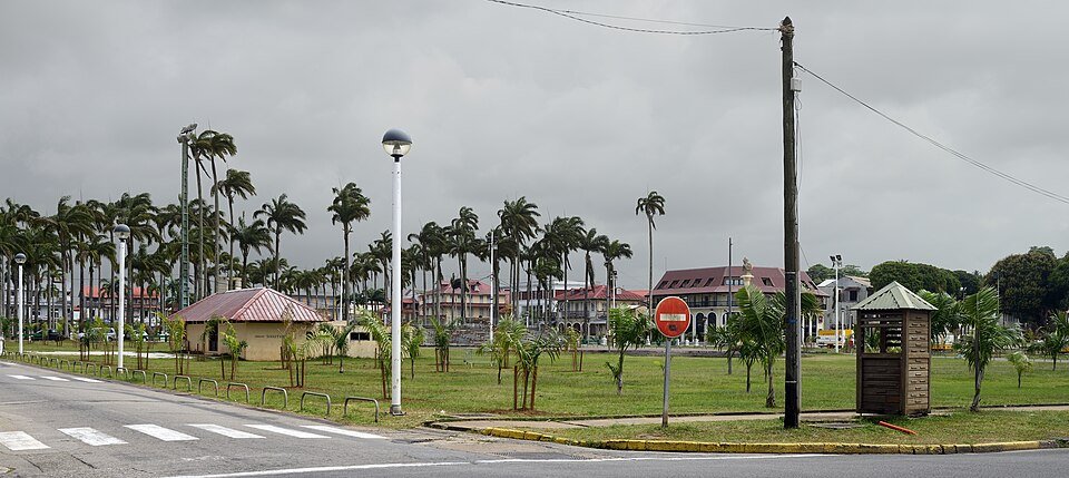 Roystonea oleracea palmboom op een plein met palmbomen en gebouwen.