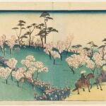 Hanami in bloeiende kersenbloesem, Asukayama heuvel, sfeervol Japans lentefeest.