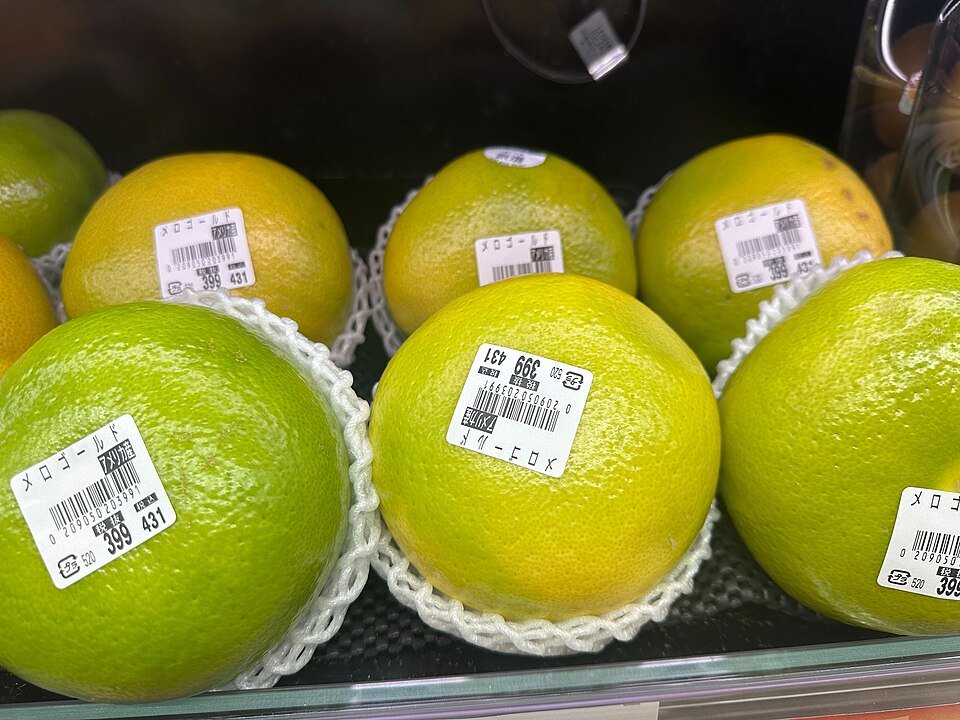 Rijpe Melogold citrusvrucht met heldergroene schil en geel vruchtvlees.