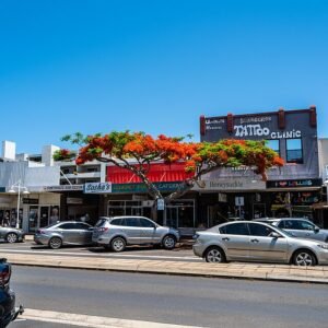 Rode flamboyante Delonix regia bloem in volle bloei.