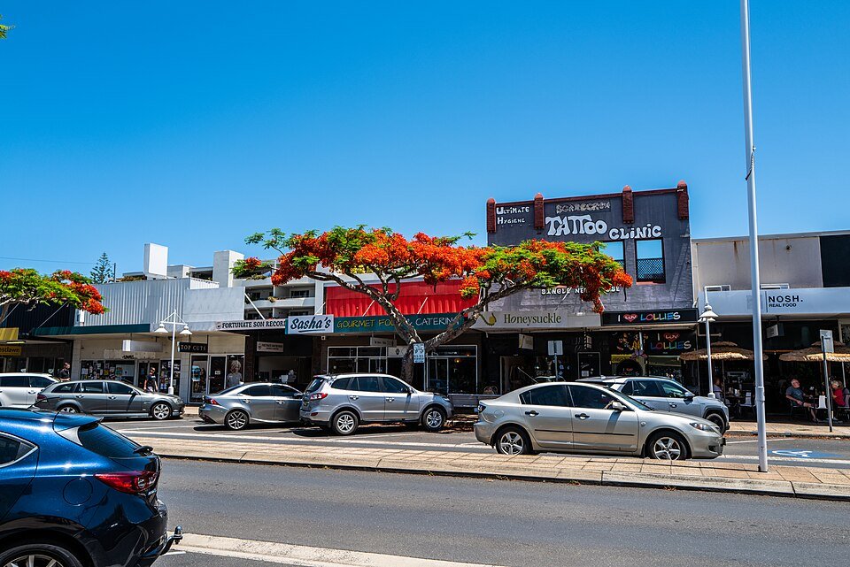 Rode flamboyante Delonix regia bloem in volle bloei.